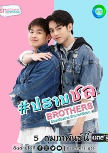 Brothers The Series